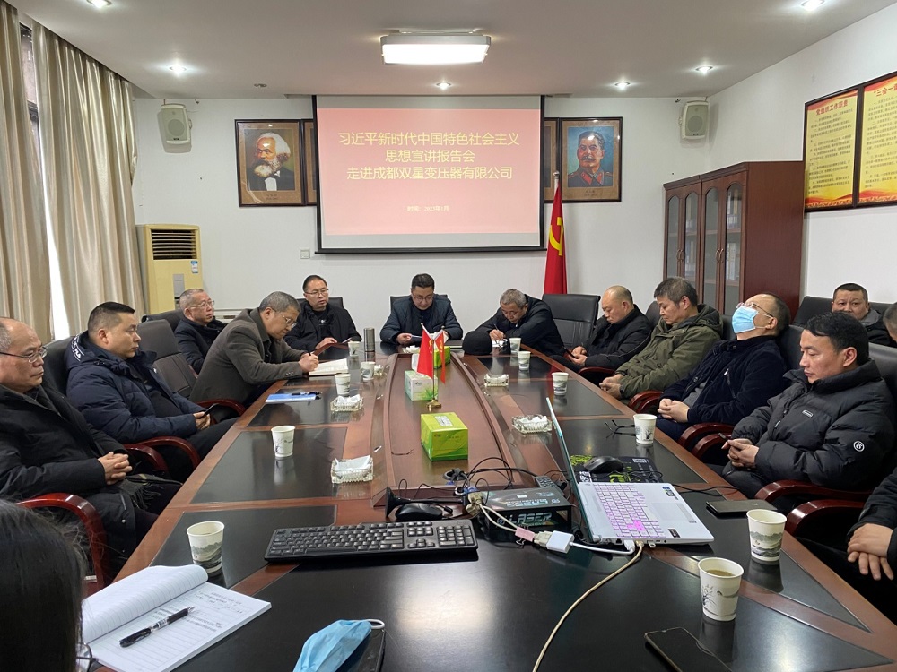 双星公司党委召开学习贯彻党的二十大精神 宣讲报告会